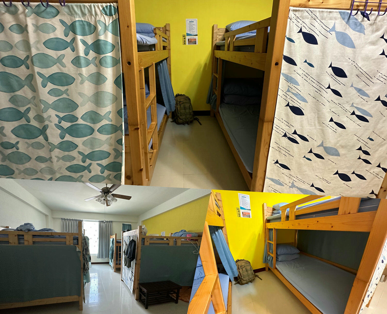 自由潛水AIDA2課程推薦｜恆春貓魚小姐。當水行俠要付出多少代價和努力？