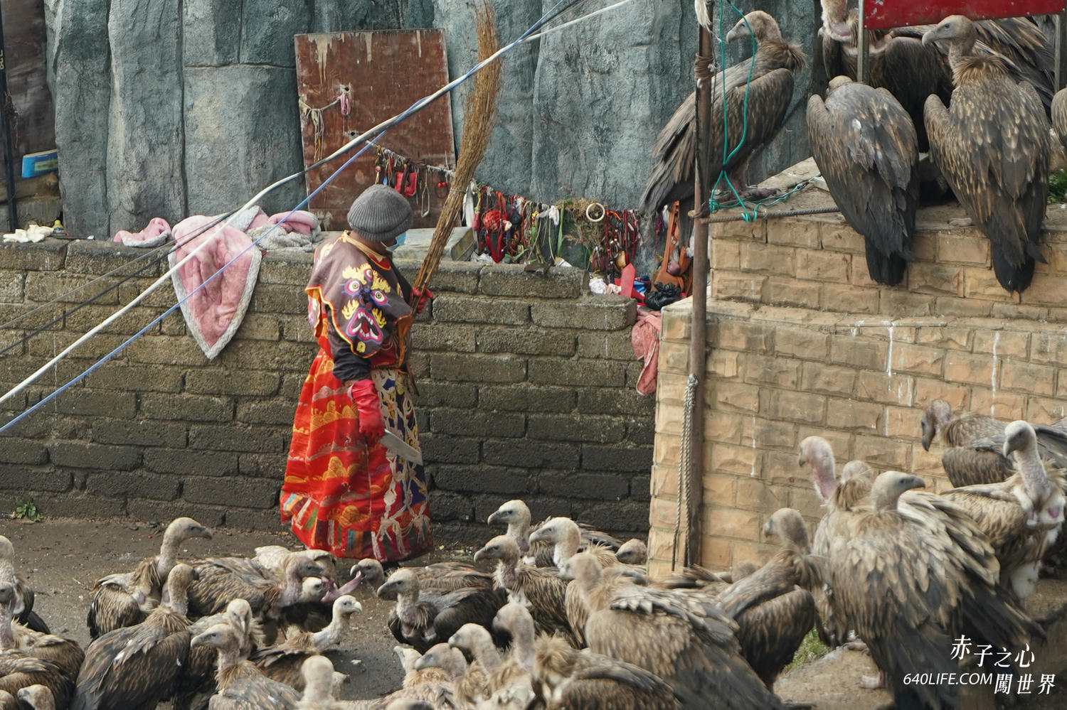 一個人去看天葬:向死而生!在毀滅中學會珍惜和不留一絲遺憾 - 第8張圖 一個人去看天葬:向死而生!在毀滅中學會珍惜和不留一絲遺憾