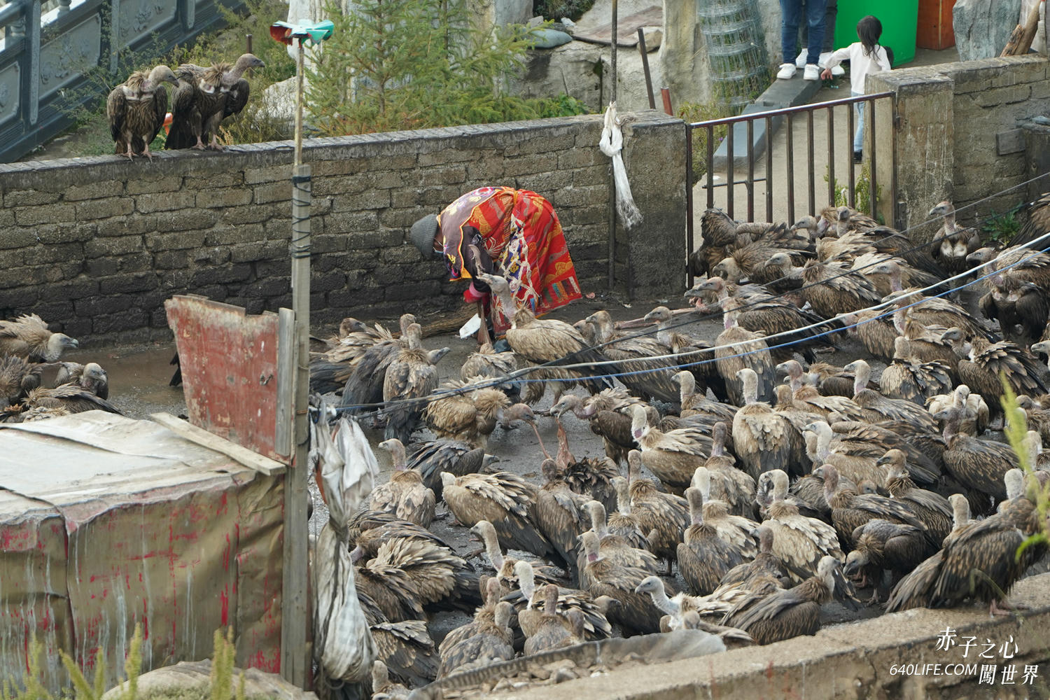 一個人去看天葬:向死而生!在毀滅中學會珍惜和不留一絲遺憾 - 第16張圖 一個人去看天葬:向死而生!在毀滅中學會珍惜和不留一絲遺憾