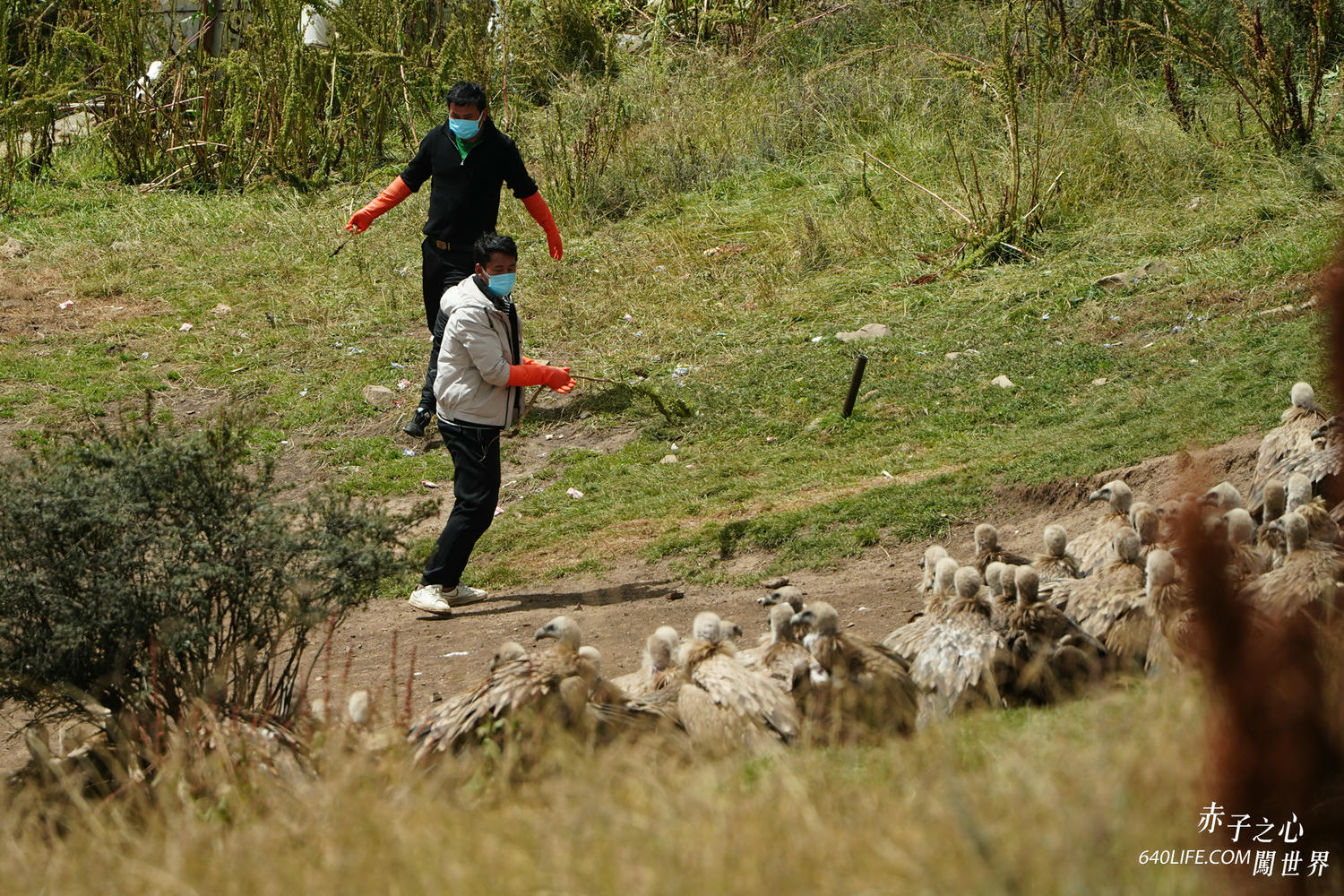 一個人去看天葬:向死而生!在毀滅中學會珍惜和不留一絲遺憾 - 第13張圖 一個人去看天葬:向死而生!在毀滅中學會珍惜和不留一絲遺憾