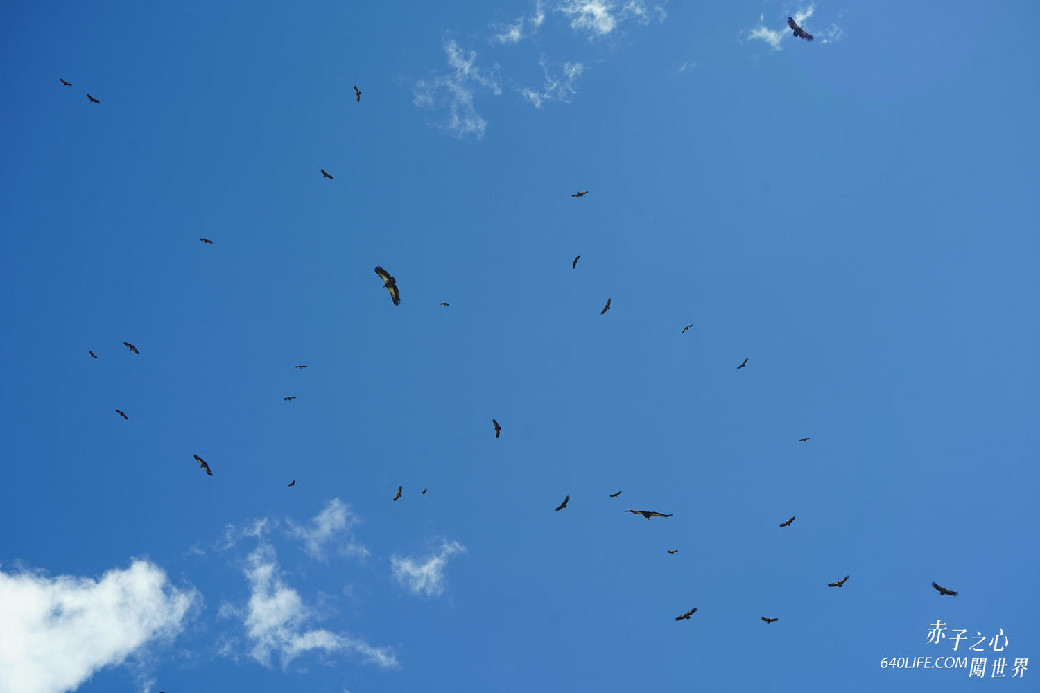 一個人去看天葬:向死而生!在毀滅中學會珍惜和不留一絲遺憾 - 第22張圖 一個人去看天葬:向死而生!在毀滅中學會珍惜和不留一絲遺憾