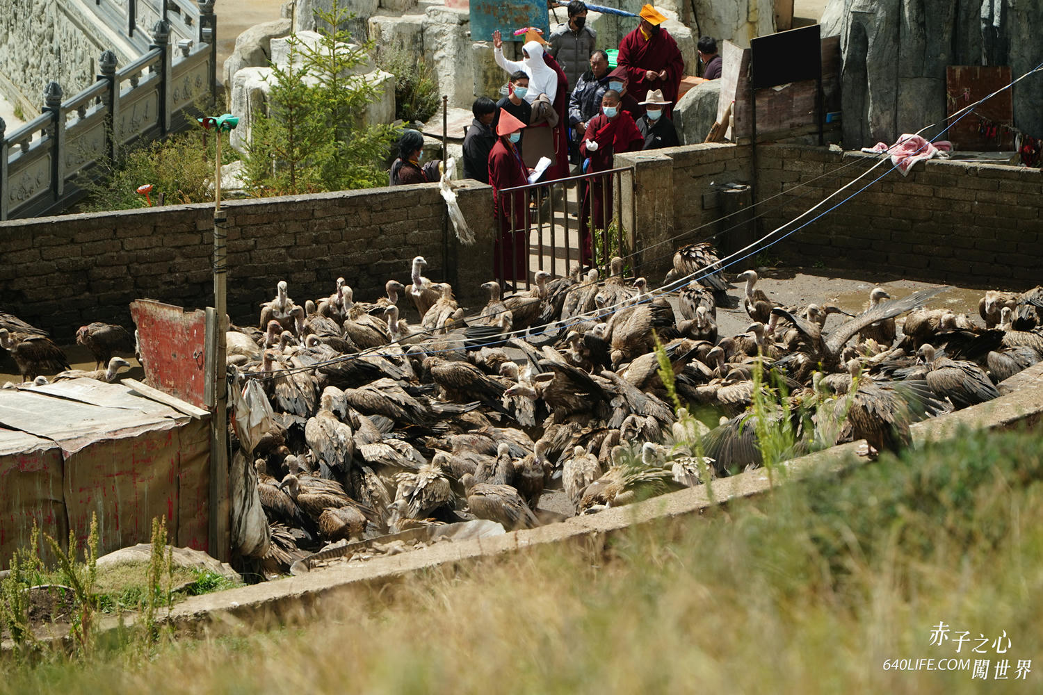 一個人去看天葬:向死而生!在毀滅中學會珍惜和不留一絲遺憾 - 第14張圖 一個人去看天葬:向死而生!在毀滅中學會珍惜和不留一絲遺憾