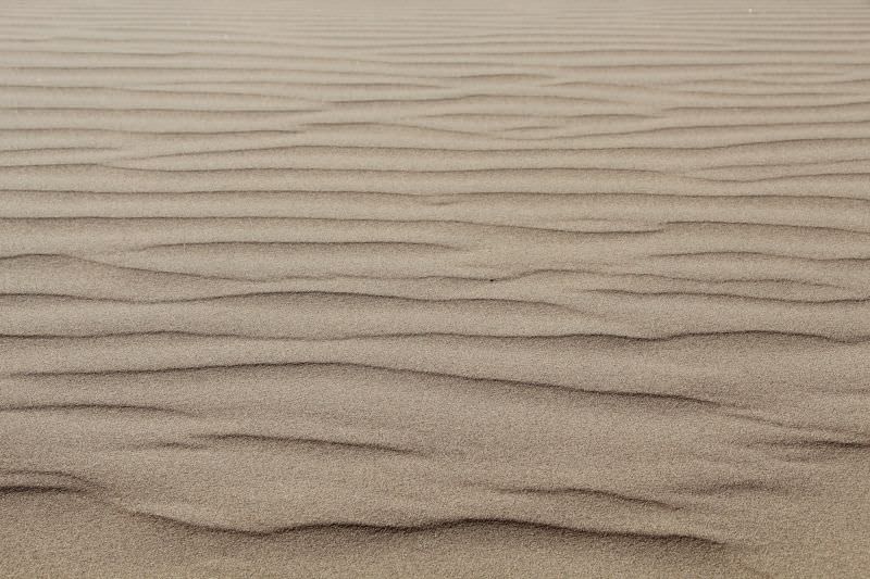 沙上烙著風的痕跡