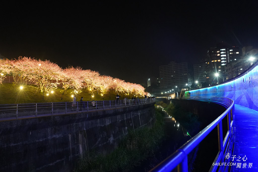 台北東湖樂活公園夜櫻季-76