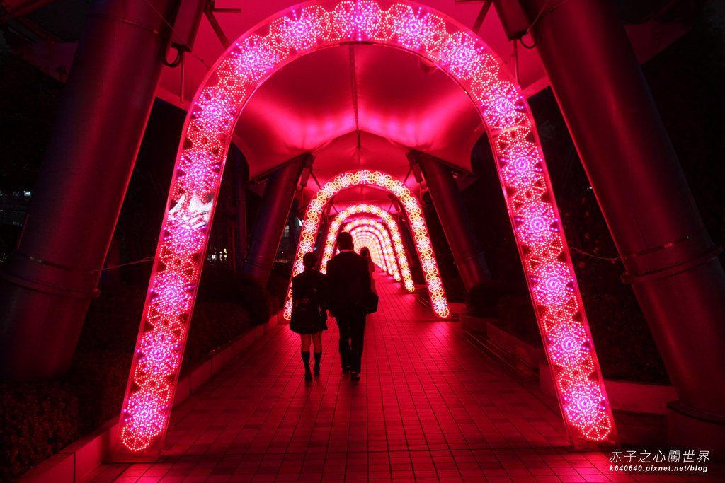 Tokyo Winter Illuminations- Tokyo Dome City-IMG_0433017
