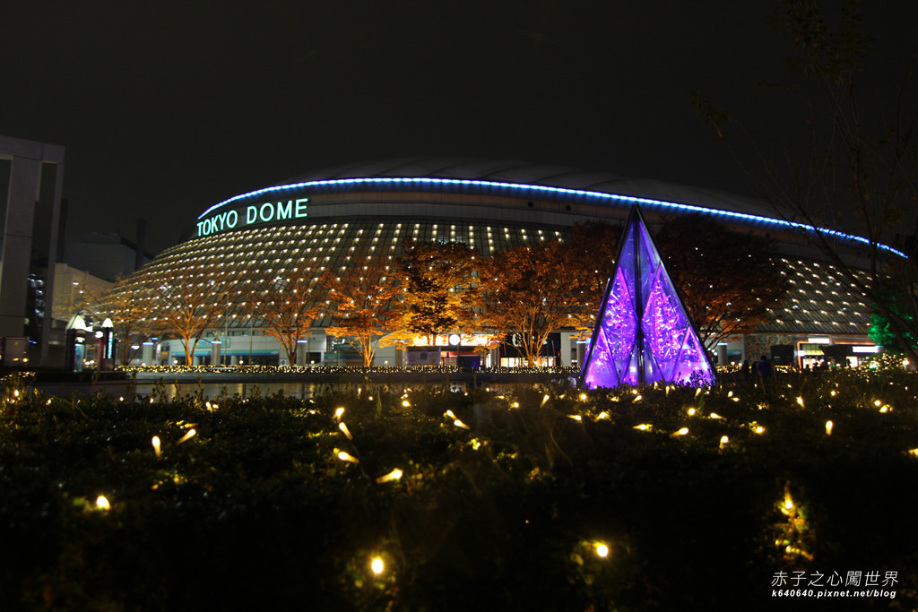 Tokyo Winter Illuminations- Tokyo Dome City-IMG_0590029