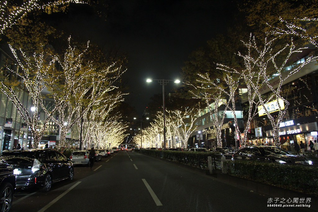 Tokyo Winter Illuminations- 表参道Hills-IMG_9744100