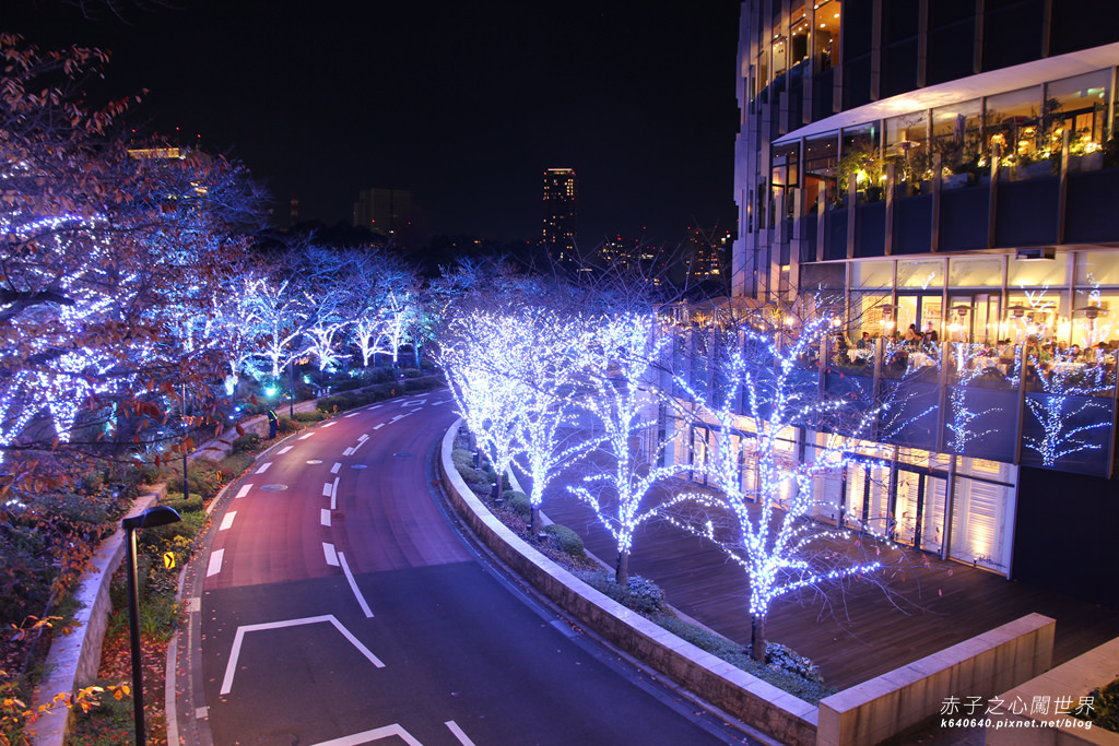 Tokyo Winter Illuminations- 表参道Hills-IMG_3204095