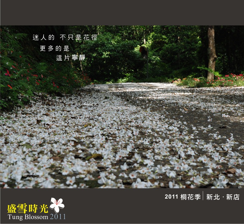 盛雪時光2011-7.jpg