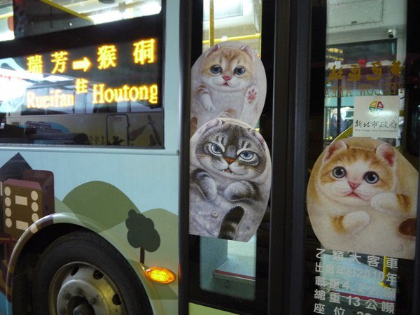 猴硐貓公車4
